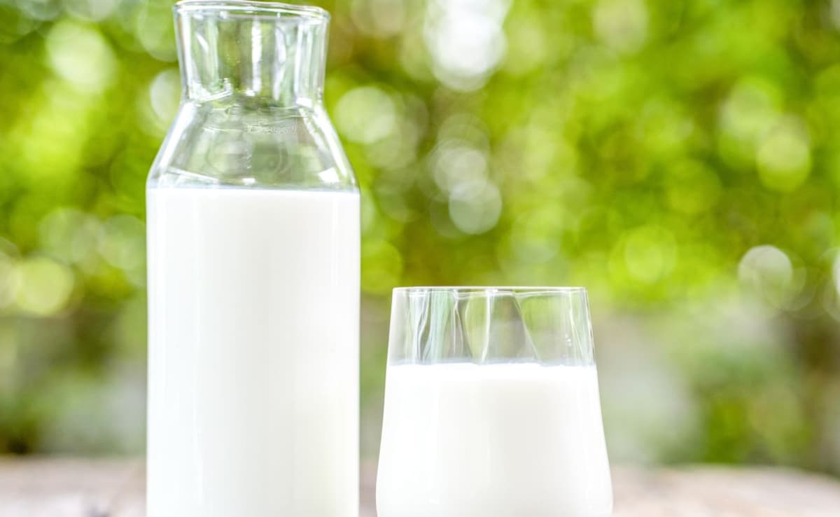 Latest and Breaking News on NDTV Latest and Breaking News on NDTV