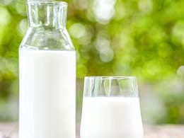 10 Health Benefits Of Consuming Cow Milk 10 Health Benefits Of Consuming Cow Milk