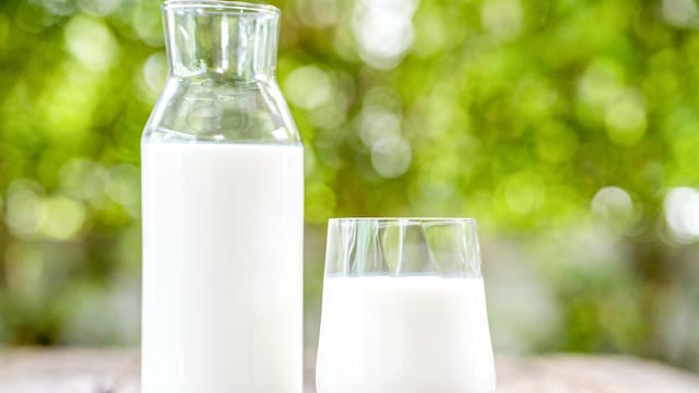 The high calcium content in cow milk contributes to strong and healthy teeth