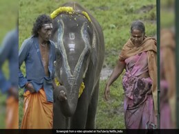 Weekend Binge: After <i>Angry Young Men</i>, Add These Documentaries To Your Watchlist Weekend Binge: After <i>Angry Young Men</i>, Add These Documentaries To Your Watchlist