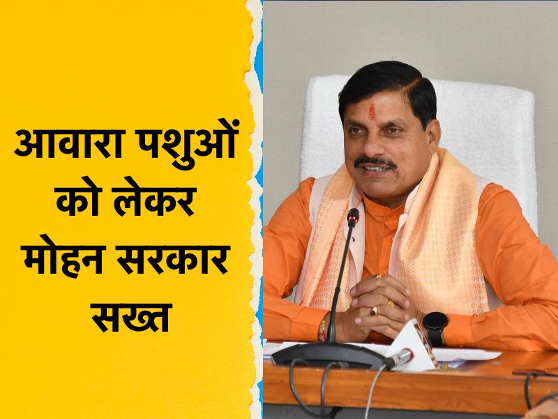 मोहन सरकार ने इस काम के लिए अफसरों को उतारा सड़क पर, 15 दिनों के भीतर बनाएगी ठोस रणनीति,जानें पूरा मामला