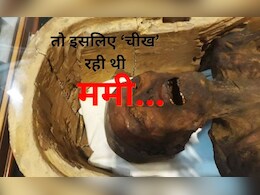 मिस्र की 'चीखती ममी' का रहस्य उजागर, 3500 साल पहले क्यों खुला रह गया महिला का मुंह, ये है वजह मिस्र की 'चीखती ममी' का रहस्य उजागर, 3500 साल पहले क्यों खुला रह गया महिला का मुंह, ये है वजह