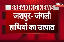 Elephant Terror in Jashpur: हाथियों ने मचाया जमकर उत्पात 3 घरों को किया तहस-नहस Elephant Terror in Jashpur: हाथियों ने मचाया जमकर उत्पात 3 घरों को किया तहस-नहस
