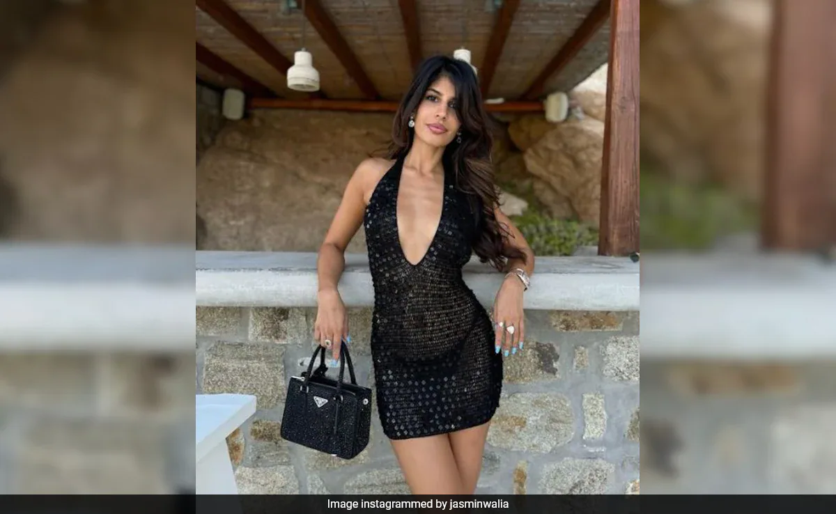 Meet Jasmin Walia, British Singer Rumoured To Be Dating Hardik Pandya