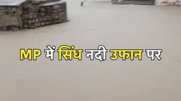 Rain In MP: उफान पर सिंध नदी, जलमग्न हुई घाट, टापू पर फंसे 8 लोग तो तेज बहाव में बह गए 3 लोग... मध्य प्रदेश में IMD का अलर्ट