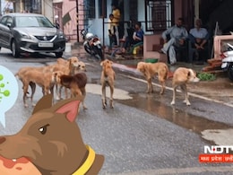 Vidisha: 19 दिनों में 150 लोगों पर कुत्तों ने किया हमला, अस्पताल में इंजेक्शन की कमी से लोग हो रहे परेशान 