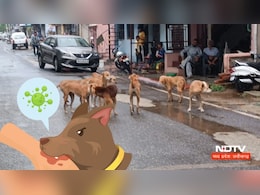 Dog Bite: एमपी में नहीं थम रहा कुत्तों का आतंक, प्रशासन की सुस्ती से तंग आकर लोगों ने शुरू की ये मुहिम Dog Bite: एमपी में नहीं थम रहा कुत्तों का आतंक, प्रशासन की सुस्ती से तंग आकर लोगों ने शुरू की ये मुहिम