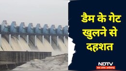 एमपी में हैं एशिया के ये दो बड़े डैम, खतरे को देखते हुए अब खोल दिए गए इतने गेट
