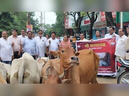 छत्तीसगढ़ में कांग्रेस ने गौ सत्याग्रह को लेकर बोला हल्ला, इन मुद्दों पर सरकार को घेरा, बढ़ी मुश्किलें छत्तीसगढ़ में कांग्रेस ने गौ सत्याग्रह को लेकर बोला हल्ला, इन मुद्दों पर सरकार को घेरा, बढ़ी मुश्किलें