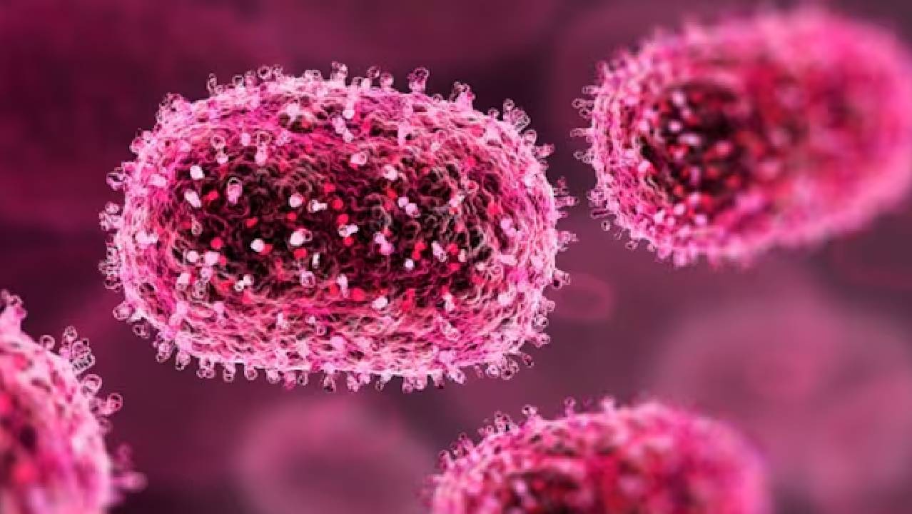 राजस्थान: चांदीपुरा वायरस की चपेट में आई 2 साल की बच्ची