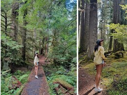 Like Pooja Hegde's Forest Hike, 5 Adventurous Things To Do In Washington