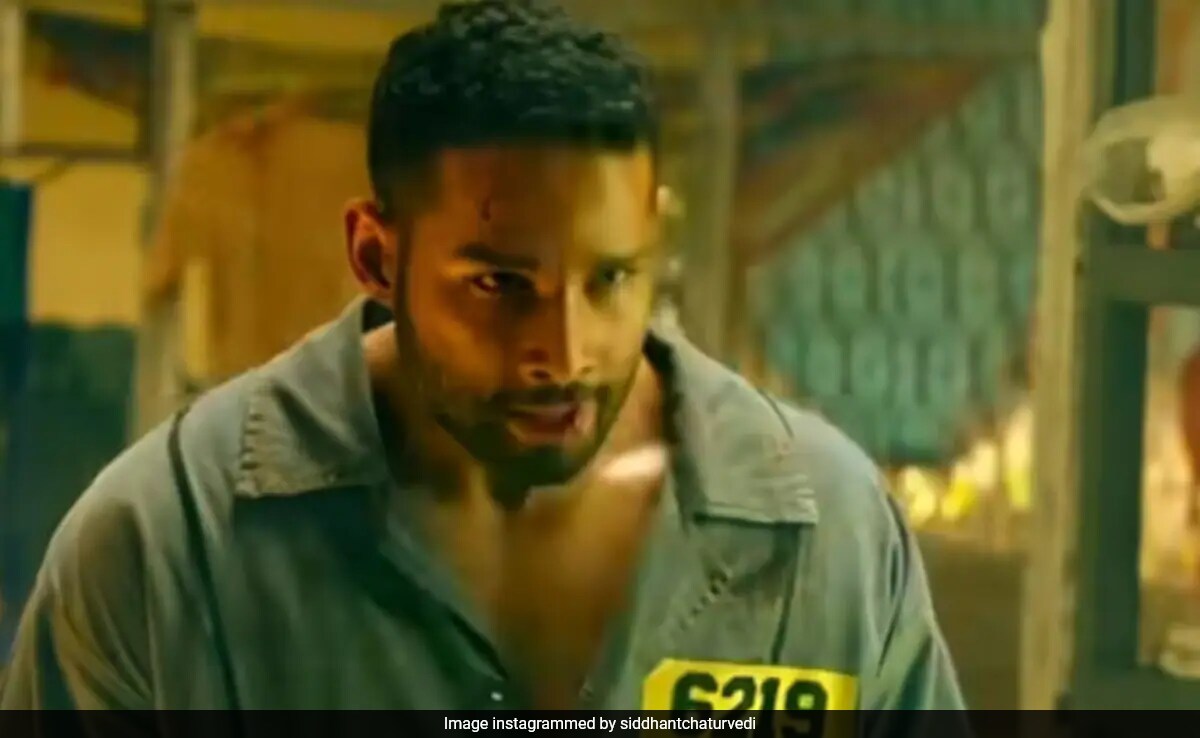 <i>Yudhra Trailer</i>: Enter Siddhant Chaturvedi And Mercy Leaves The Room