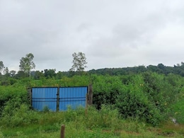 ये क्या! फिर चोरी हो गया अरपा नदी के उद्गम स्थल का साइन बोर्ड, पहले भी हो चुकी थी ऐसी घटना