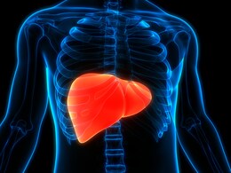5 Fruits That Will Hydrate Your Liver And Keep It Running Smoothly 5 Fruits That Will Hydrate Your Liver And Keep It Running Smoothly