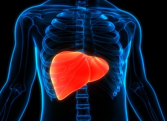 5 Fruits That Will Hydrate Your Liver And Keep It Running Smoothly 5 Fruits That Will Hydrate Your Liver And Keep It Running Smoothly