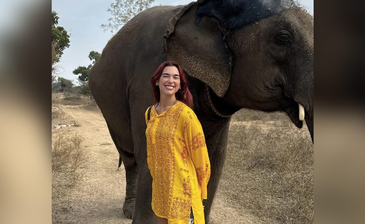 Dua Lipa Announces Mumbai Concert: "India, I Am Coming Back"