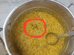 राजस्थान में मिडे डे मिल के साथ हो रहा खिलवाड़, बच्चों के खाने में मिला मरा हुआ मेढ़क 