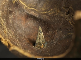 Thousands Of Bones And Weapons Uncover Brutal 3,250-Year-Old Battle Thousands Of Bones And Weapons Uncover Brutal 3,250-Year-Old Battle