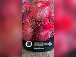 X User Complains To Big Basket About Onion Weight, Claims His Account Was Blocked X User Complains To Big Basket About Onion Weight, Claims His Account Was Blocked