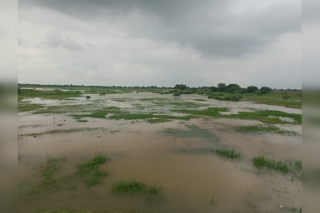 बरसात ने काश्तकारों के सपनों पर पानी फेर दिया बरसात ने काश्तकारों के सपनों पर पानी फेर दिया