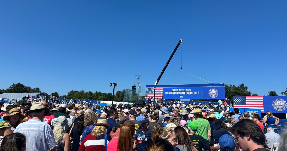 US Election 2024 What Happens On Polling Day