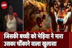 Bahraich Wolf Attack में ऐसी कौन सी नई थ्योरी आ गई है जिससे भेड़िये की तलाश का मामला उलझ गया है? Bahraich Wolf Attack में ऐसी कौन सी नई थ्योरी आ गई है जिससे भेड़िये की तलाश का मामला उलझ गया है?