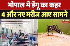 Bhopal News: भोपाल में डेंगू का कहर, 4 और नए मरीज आए सामने Bhopal News: भोपाल में डेंगू का कहर, 4 और नए मरीज आए सामने