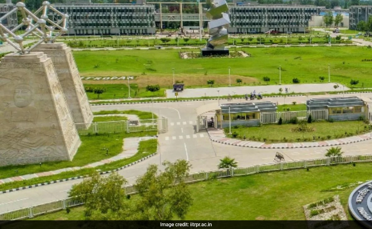 The Art of Baking: From Classic Bread to Artisan Pastries