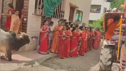 Viral Video: भगवान गणेश को देखते ही नतमस्तक हुए नंदी, घुटने टेक कर ऐसे किया प्रणाम