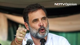 Opinion | A Lot Is At Stake For Rahul - And Congress - In Haryana