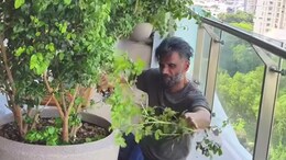 ICYMI: Suniel Shetty Spent A Therapeutic Sunday Pruning His Plants - Watch Video