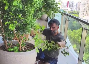 ICYMI: Suniel Shetty Spent A Therapeutic Sunday Pruning His Plants - Watch Video ICYMI: Suniel Shetty Spent A Therapeutic Sunday Pruning His Plants - Watch Video