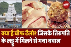 Tirupati Temple के Laddu प्रसाद में मिला Beef Tallow क्या है? जिसके मिलने से मचा बवाल Tirupati Temple के Laddu प्रसाद में मिला Beef Tallow क्या है? जिसके मिलने से मचा बवाल