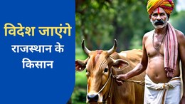 राजस्थान सरकार किसानों को भेजेगी विदेश, जानें 25 सितंबर से कौन से किसान कर सकते हैं आवेदन