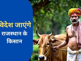 राजस्थान सरकार किसानों को भेजेगी विदेश, जानें 25 सितंबर से कौन से किसान कर सकते हैं आवेदन राजस्थान सरकार किसानों को भेजेगी विदेश, जानें 25 सितंबर से कौन से किसान कर सकते हैं आवेदन