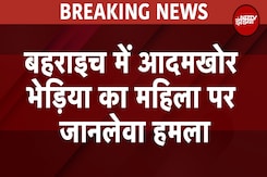 Bahraich Wolf Attack Breaking: बहराइच में आदमखोर भेड़िया का महिला पर जानलेवा हमला, बाल-बाल बची महिला Bahraich Wolf Attack Breaking: बहराइच में आदमखोर भेड़िया का महिला पर जानलेवा हमला, बाल-बाल बची महिला