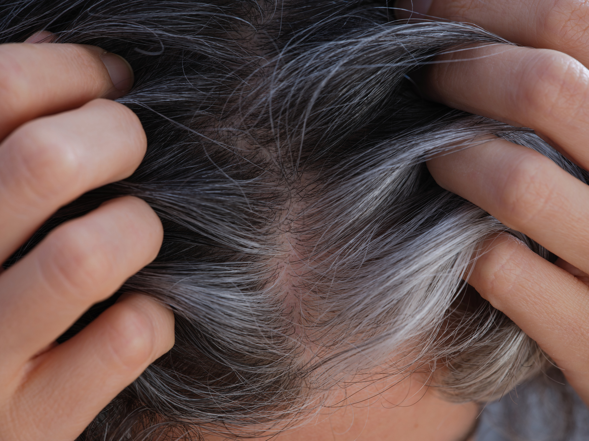सफेद बालों को काला करने के लिए चाय पत्ती में मिक्स कर लें ये 1 चीज, तेजी से होगी Hair Growth
