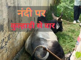 नंदी को किसने मारी कुल्हाड़ी? पुलिस कर रही है तलाश, गौ सेवकों में आक्रोश नंदी को किसने मारी कुल्हाड़ी? पुलिस कर रही है तलाश, गौ सेवकों में आक्रोश