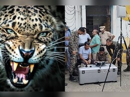 उदयपुर में 'आदमखोर' तेंदुए को पकड़ने पहुंची आर्मी, 2 दिन में 3 लोगों की जा चुकी है जान