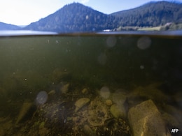 French Lake Still Riddled With Bombs 80 Years After World War II French Lake Still Riddled With Bombs 80 Years After World War II