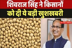 Soyabean Rate in MP:शिवराज सिंह चौहान ने किसानों को दी ये बड़ी खुशखबरी Soyabean Rate in MP:शिवराज सिंह चौहान ने किसानों को दी ये बड़ी खुशखबरी