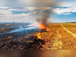 पराली जलाने को लेकर हरियाणा सरकार सख्त, 24 कर्मचारियों को किया सस्पेंड