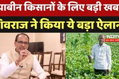 सोयाबीन किसानों के लिए बड़ी खबर, शिवराज ने किया ये बड़ा ऐलान सोयाबीन किसानों के लिए बड़ी खबर, शिवराज ने किया ये बड़ा ऐलान