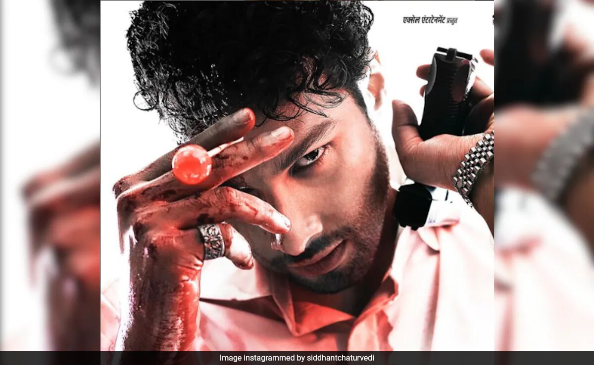<i>Yudhra</i> Review: Siddhant Chaturvedi's Film Is Relentlessly Violent