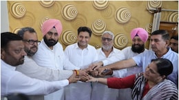 Haryana Elections 2024: कांग्रेस के बागियों को मनाने में कामयाब हुए हरीश चौधरी, हरियाणा में रातोंरात पलट दिया 'गेम'