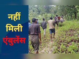 CG: मवेशी चरा रही बच्ची को सांप ने काटा, अस्पताल ले जाने नहीं मिली एंबुलेंस, हुई मौत  CG: मवेशी चरा रही बच्ची को सांप ने काटा, अस्पताल ले जाने नहीं मिली एंबुलेंस, हुई मौत
