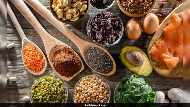A nutritious weight loss diet can help you feel full and improve absorption which can help in weight loss