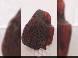 Decades-Old Doorstop Turns Out To Be Priceless Gem Worth Rs 8 Crore Decades-Old Doorstop Turns Out To Be Priceless Gem Worth Rs 8 Crore