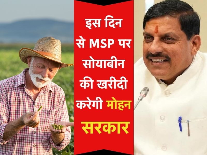 MP के किसानों के लिए बड़ी खबर: इस दिन से शुरू होगी सोयाबीन की खरीदी, मोहन सरकार ने दिए ये निर्देश