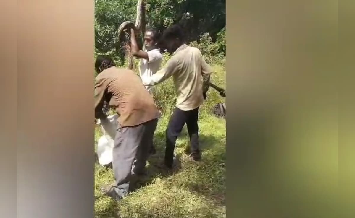 Latest and Breaking News on NDTV Latest and Breaking News on NDTV